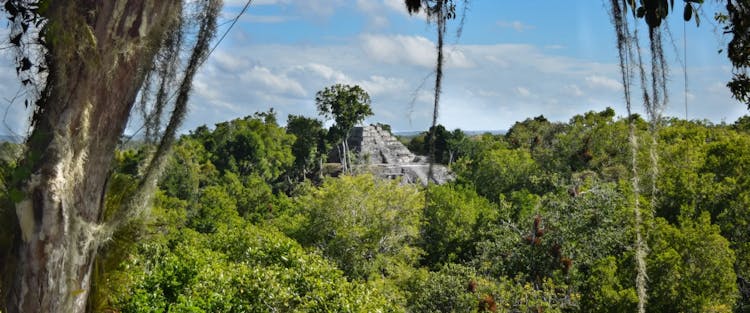 El Mirador: The 5-Day Guatemalan Trek to the Cradle of Maya Civilization