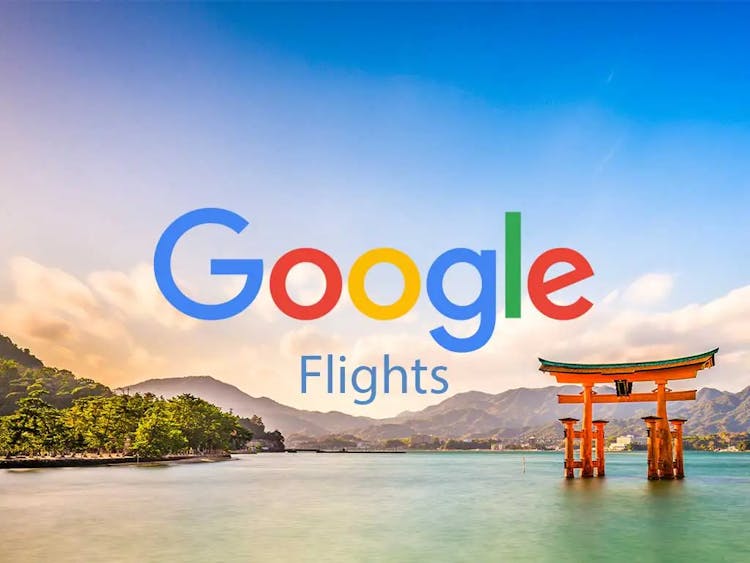 How to Use Google Flights: A Guide to Finding Cheap Flights [2024]