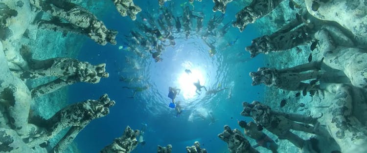 Snorkeling in Grenada's Molinere Bay Underwater Sculpture Park